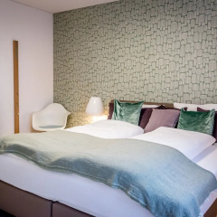 Andermatt Alpine Apartments thumbnail 3