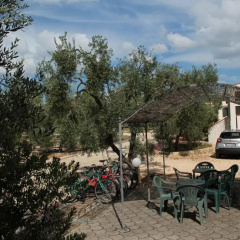 Tenuta Montincello thumbnail 15