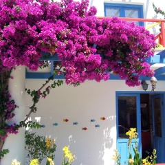 Su Hotel - Bild 19