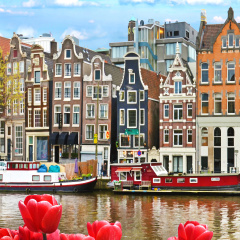 Holiday Inn - the niu, Fender Amsterdam by IHG - Bild 23