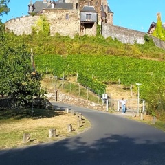 Gasthaus Castor - Bild 9