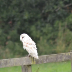 Wortwell Hall Barn thumbnail 18