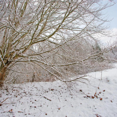 Ferienwohnung König - Bild 11