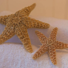 El Nido Alaro - Bild 23