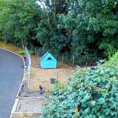 Ard Na Coillte photo 4