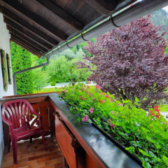 Ferienwohnung Kiliansblick in der Kilianmühle - Bild 8