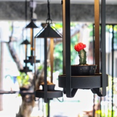 Paragon Inn - Bild 11