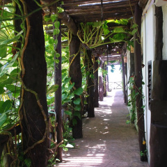 Casa Caribe Cancun - Bild 24