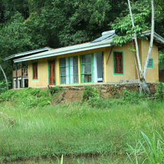 Sinharaja Forest Edge thumbnail 11