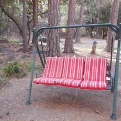Yosemite Paradise Inn thumbnail 6