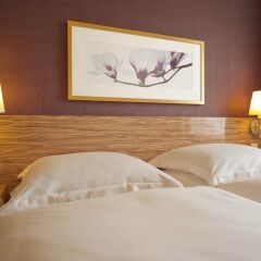 Отель Best Western Raphael Hotel Altona Германия, Гамбург - отзывы, цены и фото номеров - забронировать отель Best Western Raphael Hotel Altona онлайн фото 11