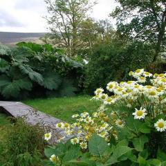 The Overscaig House Hotel thumbnail 25