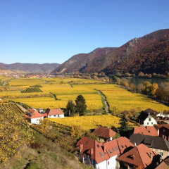 Apartement Schlaf Gut - mitten in der Wachau thumbnail 8