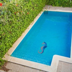 Villa Esperanza - Bild 12