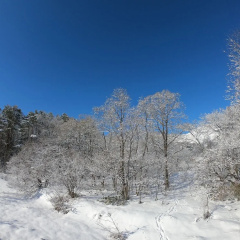 Hakuba Hokujo thumbnail 14