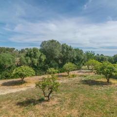 Son Barrigo - Villa With Private Pool In Porreres - Bild 14