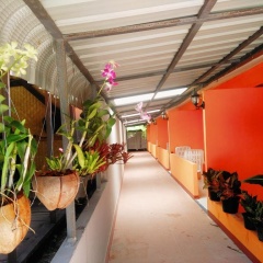 Phi Phi Coralbay - Bild 7