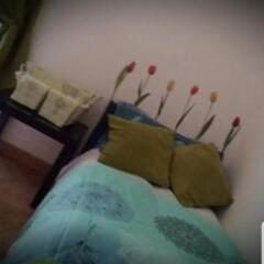 Holiday Home Il Sogno A San Pietro in Rome, Italy from 233$, photos, reviews - zenhotels.com photo 2