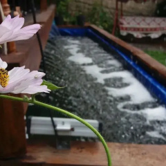 Gunes Konak Otel thumbnail 12
