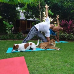 Mulia Home Stay - Bild 24