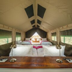 Etosha Safari Camping2Go in Okaukuejo, Namibia from 89$, photos, reviews - zenhotels.com photo 6