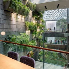YOTELAIR Singapore Changi Airport - Bild 21
