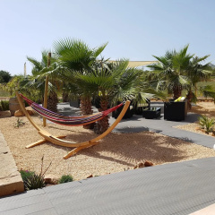 Finca Alegria - Bild 19