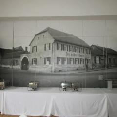 Weisser Schwan - Bild 11