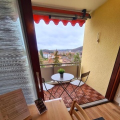 1,5 Zimmer Apartments mit traumhafter Aussicht - Bild 3