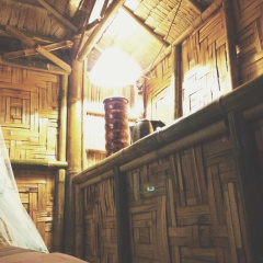 The Banana Cabins thumbnail 10