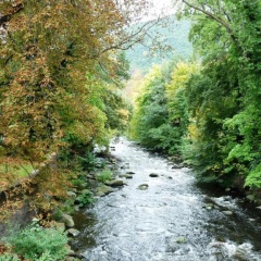 Ferienwohnungen Wotan - Bild 9