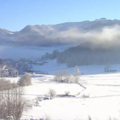 Rostalm - Bild 4