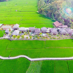 Villa JJ and Spa Ubud - Bild 15