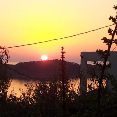 Sunset thumbnail 5