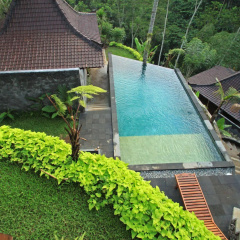 DD Ubud Villa - Bild 15