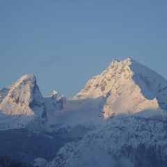 Schlafende Hexe im Buchenwald - Bild 1