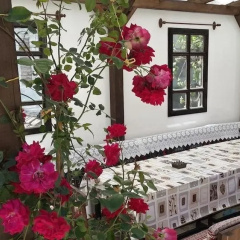 Gunes Konak Otel thumbnail 2