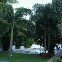Thampa Tourist Hotel in Vavuniya thumbnail 36