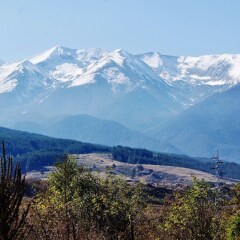 Apartment With 3 Bedrooms in Bansko, With Wonderful Mountain View, Poo in Bansko, Bulgaria from 97$, photos, reviews - zenhotels.com photo 5