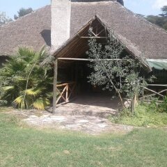 Cactus Eco Camp and Lodge in Nakuru, Kenya from 60$, photos, reviews - zenhotels.com photo 12