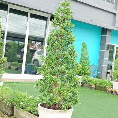 Tenera Boutique Residence - Bild 15