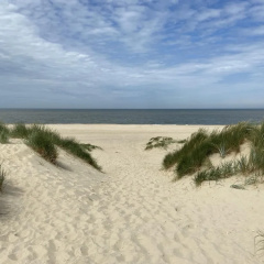 Roompot Vakantiepark Callassande thumbnail 11