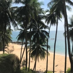Khaopilai Bungalows - Bild 13