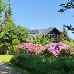 Ferienwohnung Will - Bild 5