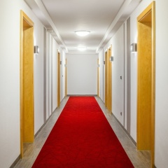 Hotel Passauer Wolf - Bild 14
