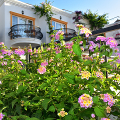 Tropicana Beach Hotel - Bild 17