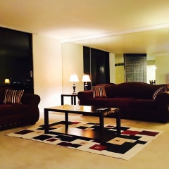 888 Convention Center 3 BEDROOM 2 BATH Condos - Bild 13
