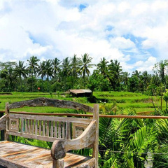 Ayurvedagram Bali - Bild 21