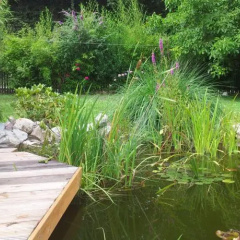 Rutzing - Bild 6
