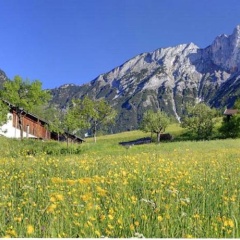 Bauernhof Vorderstiedler - Bild 2